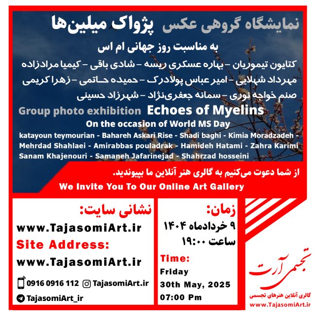 روز جهانی MS