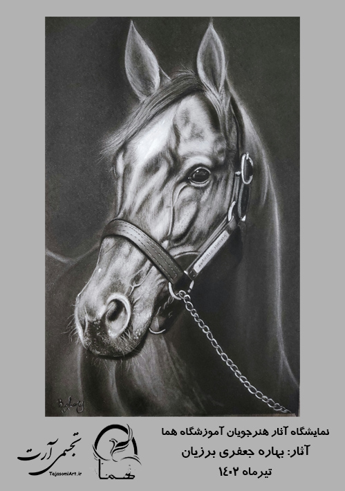 بهاره-جعفری-برزیان-3