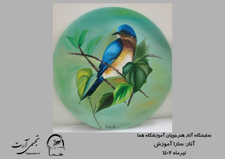 سارا-آموزش-1