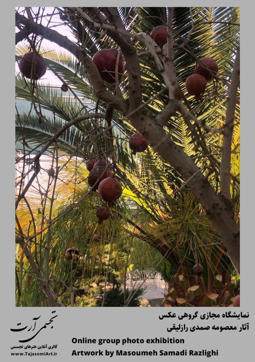 معصومه صمدی رازلیقی